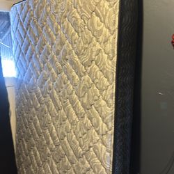 Queen  Mattress New w Boxspring