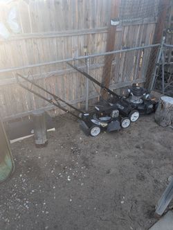 Gas Lawn Mowers No Deliveries Cash Only 