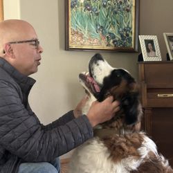 Pet sitting for All Animals 