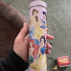 Disney Princess Pencil Case