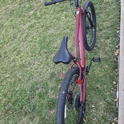 Schwinn Axum Comp X adult mountain bike, unisex, 29 inch, large frame, red color, new, little use