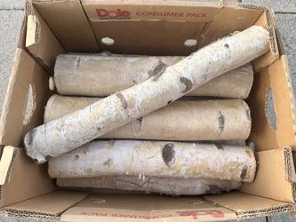Lot of 8 Birch Wood Logs Rustic Home Decor