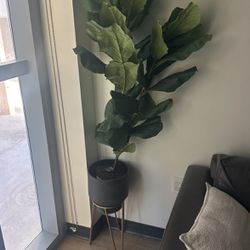 fake plant and stand
