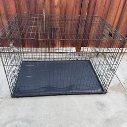Pet Crate XL