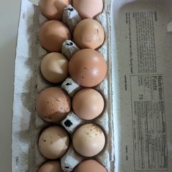 Free Ranging Eggs 