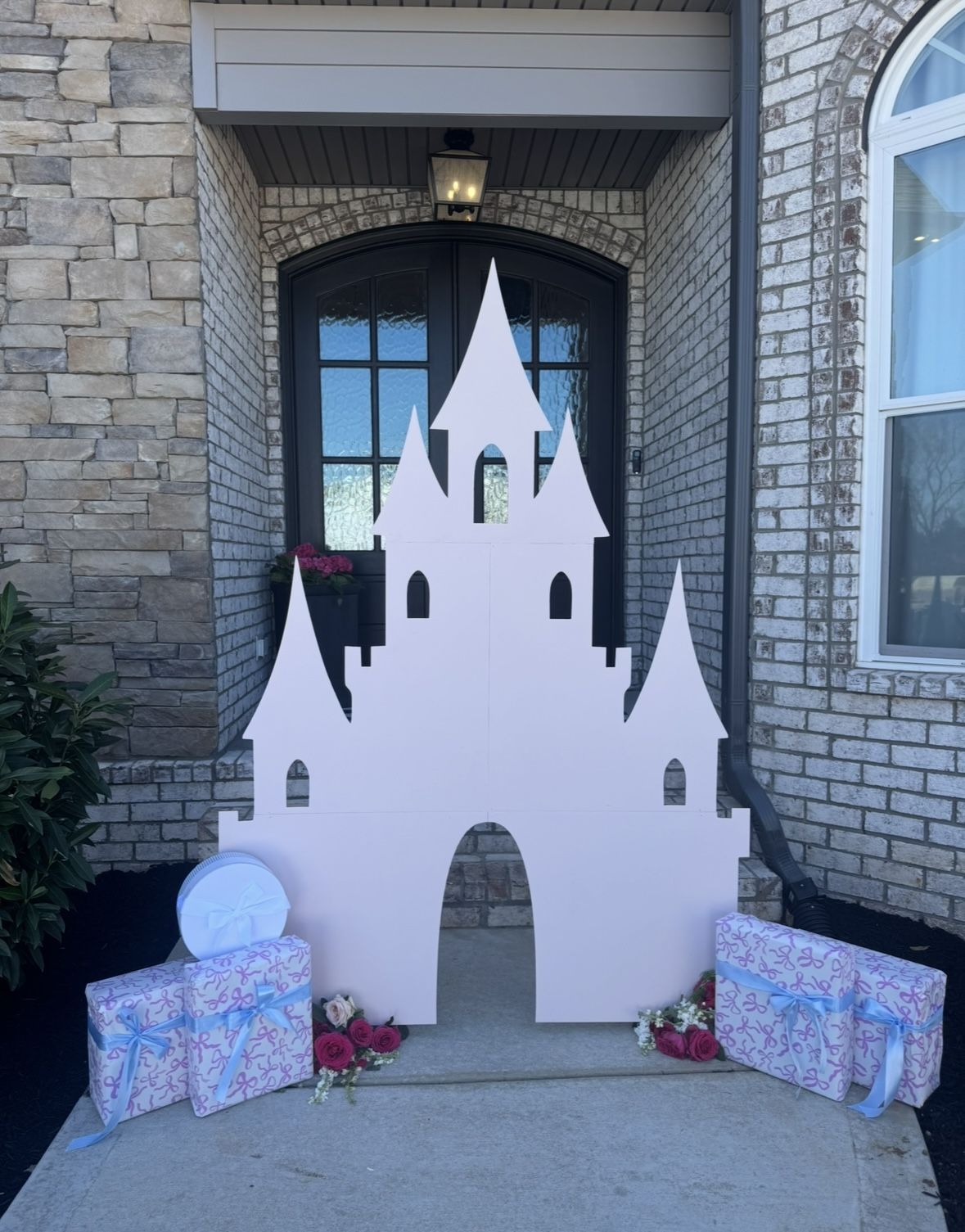 Princess Castle Backdrop