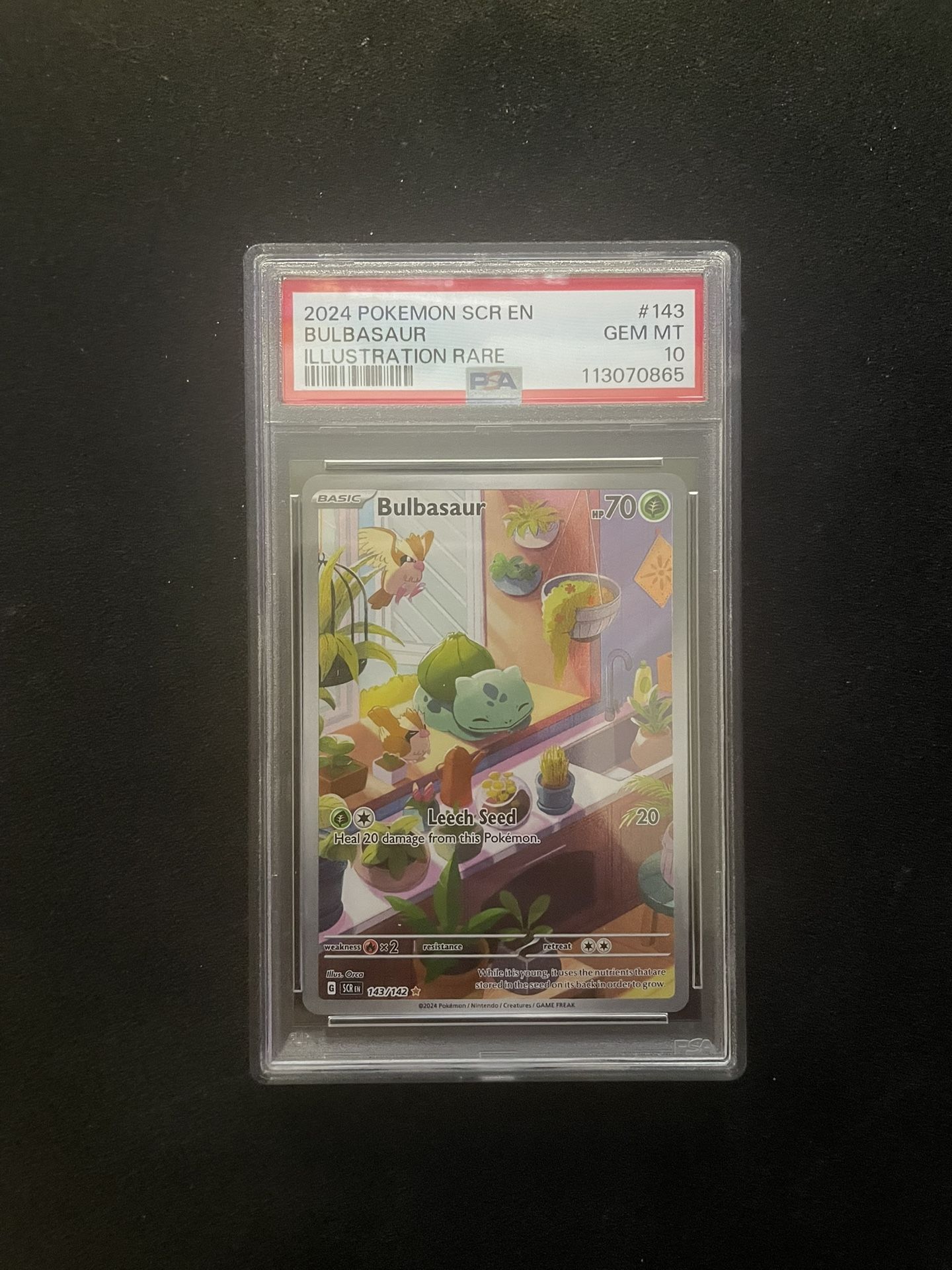 Bulbasaur 2024 SCR EN Illustration Rare #143 PSA 10 GEM MINT