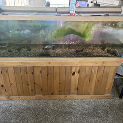 250 Gallon Fish Tank