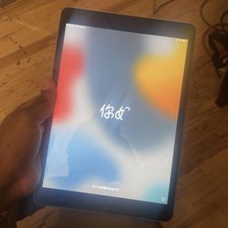 iPad 9th Generation 