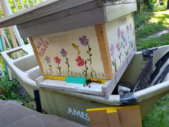 Honey Bees, Beehive, Nuc, Hive, Beekeeping