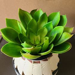 Antique Southwestern Planter Vase