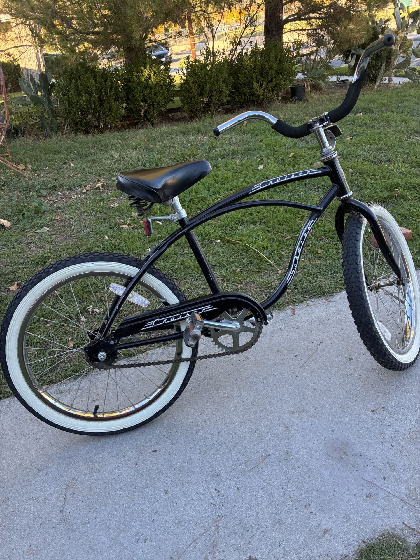 20 Inch Schwinn Cruiser