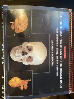 A photographic Atlas of the human body