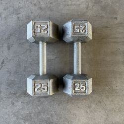 25lb Dumbbells