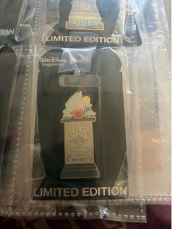 Skyway is a Limited Edition (LE) 300 pin