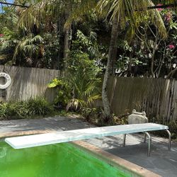 Diving Board 12’