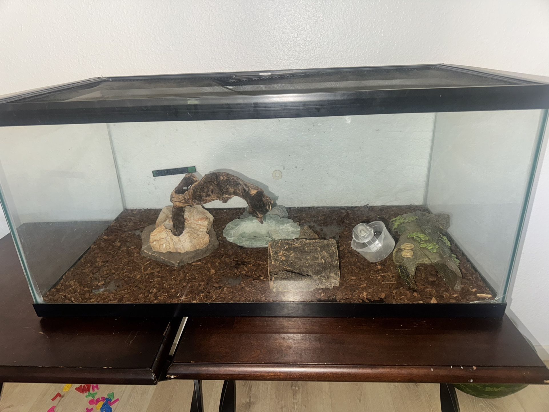 40 Gallon Tank