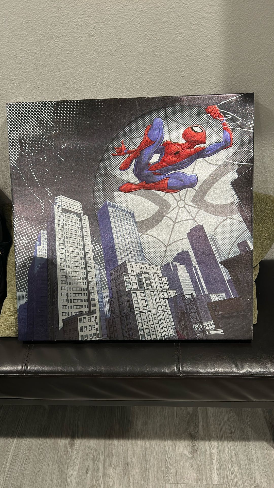 Spiderman Picture  Frame 
