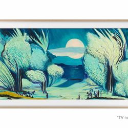 Samsung Bezel Frame For 55” Frame TV - New