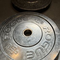 25LB Rogue HG bumper Plates 