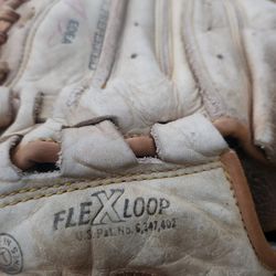 Catcher's Glove
