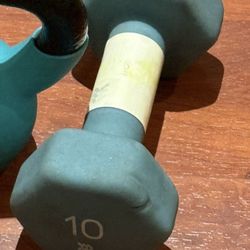 Single 10 Lb. Dumbbell 