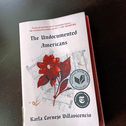 The Undocumented Americans