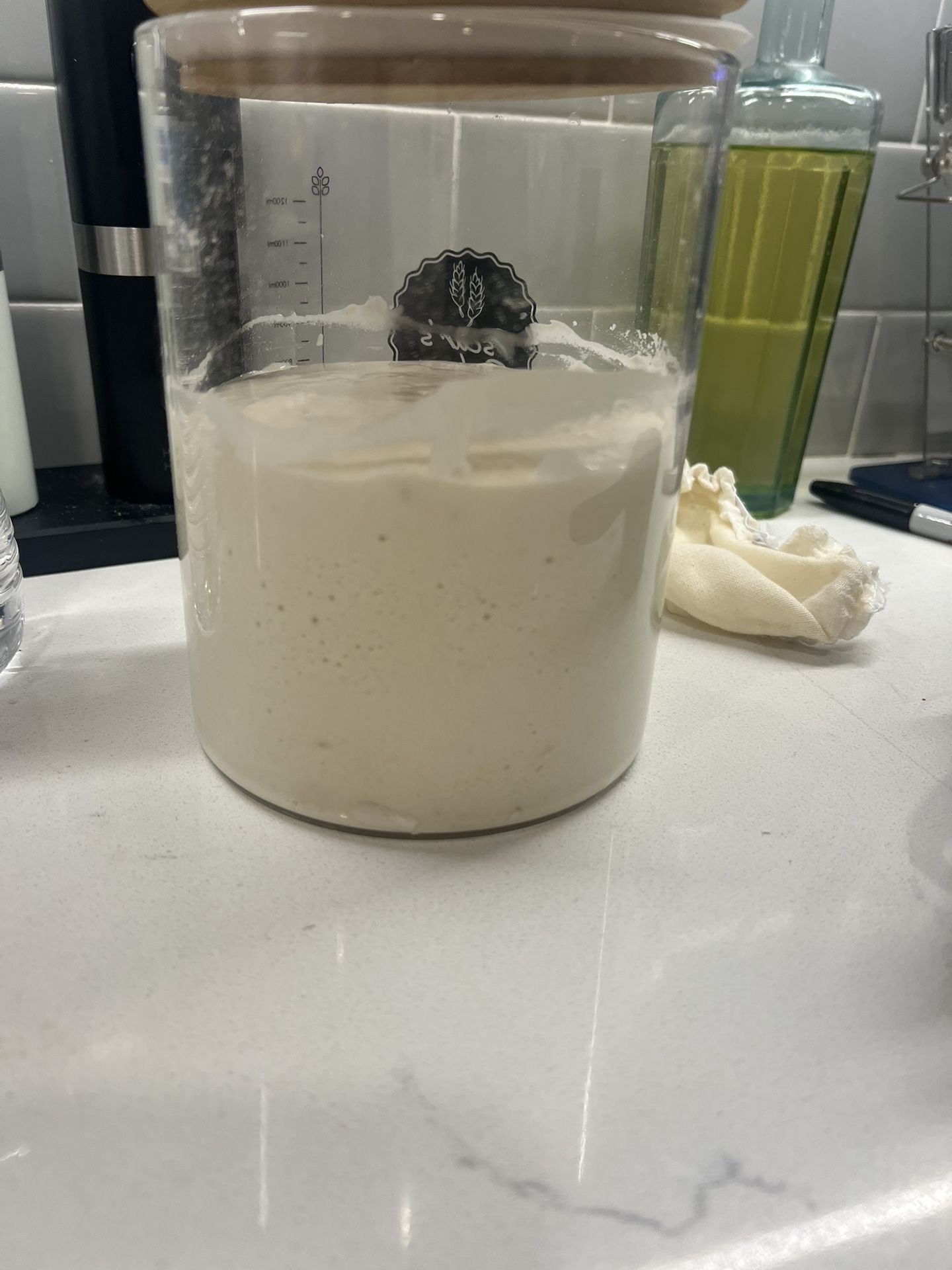 Sourdough Starter Already Active