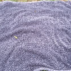 Fuzzy Blanket Dark Gray On Other Side