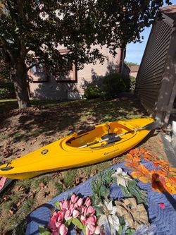 Kayak