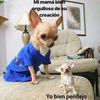 Juan