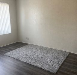 Living Room Rug