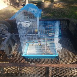 Bird Cage 