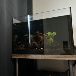 Fish Tank 32 Gallon Rimless 