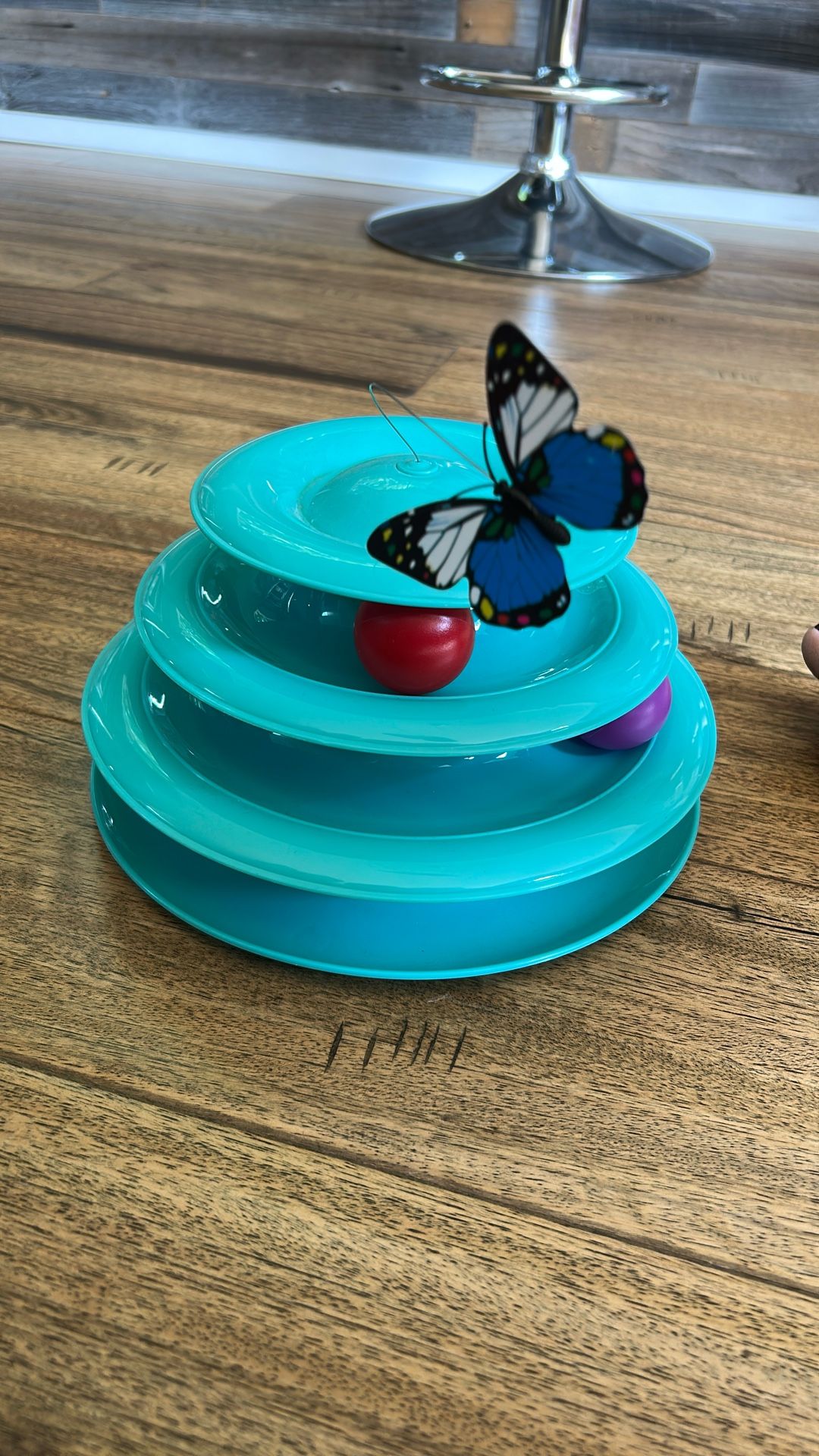 Free Cat Toy