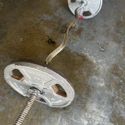 Curl Bar