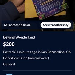 Beyond Wonderland SCAMMER