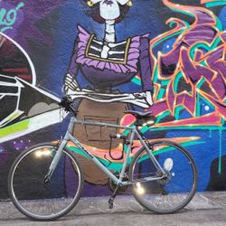 🚴 Fuji Absolute Hybrid Bike – $450 OBO | Needs $10 Tube Fix