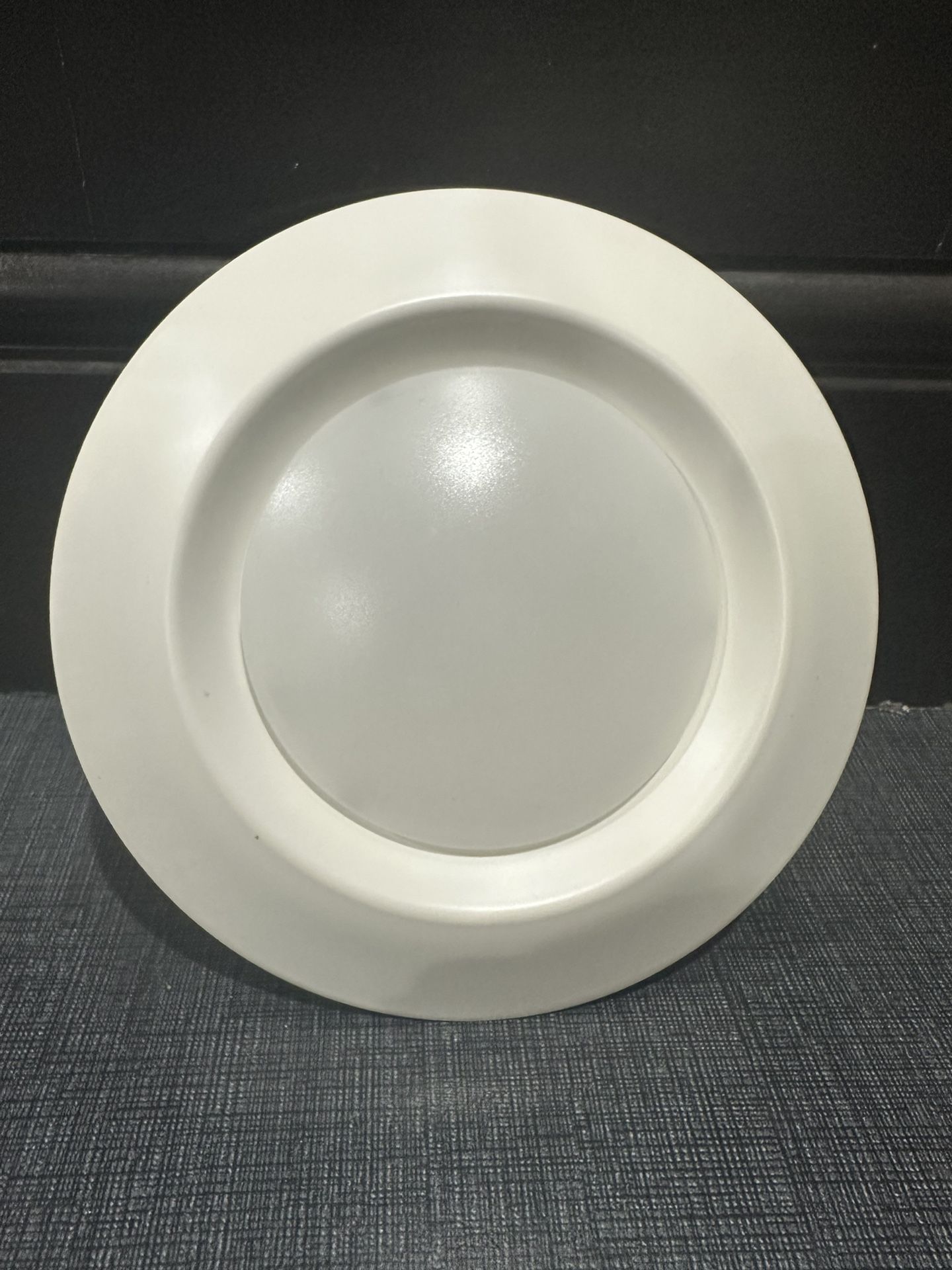 Sea Gull Lighting Celling Light 14701S-15