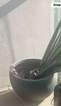 Large Charcoal Black  Plant Pot