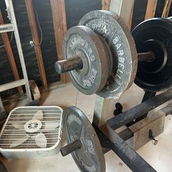 Plates and Dumbbells 