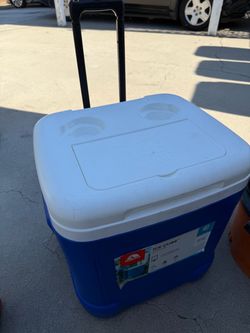 Igloo 60qt cooler