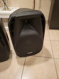 EDISON PROFESSIONAL SPEAKERS