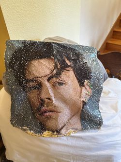 Harry Styles Pillow Case