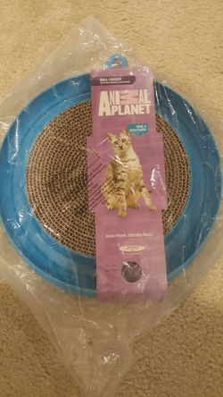 Cat scratch pad