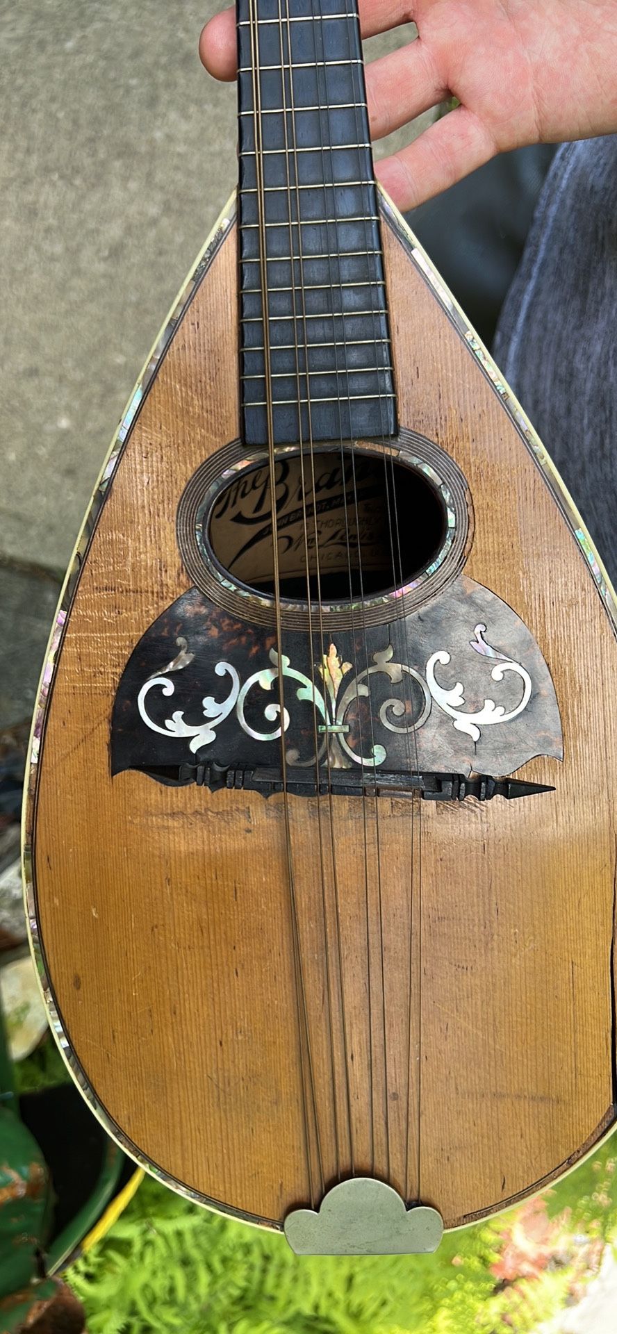 Vintage mandolin