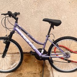 2 Mountain Bikes!