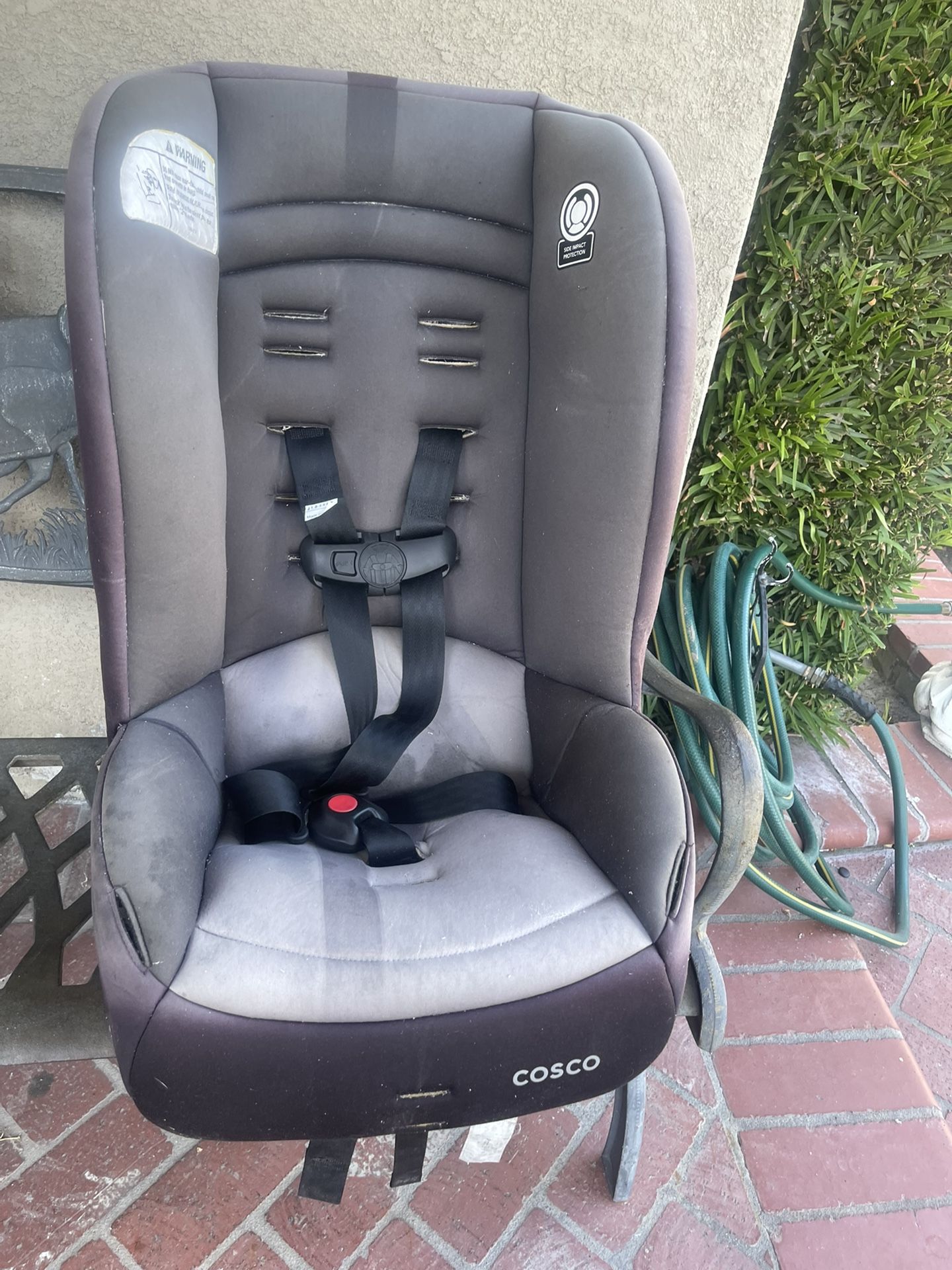 Car Seat 