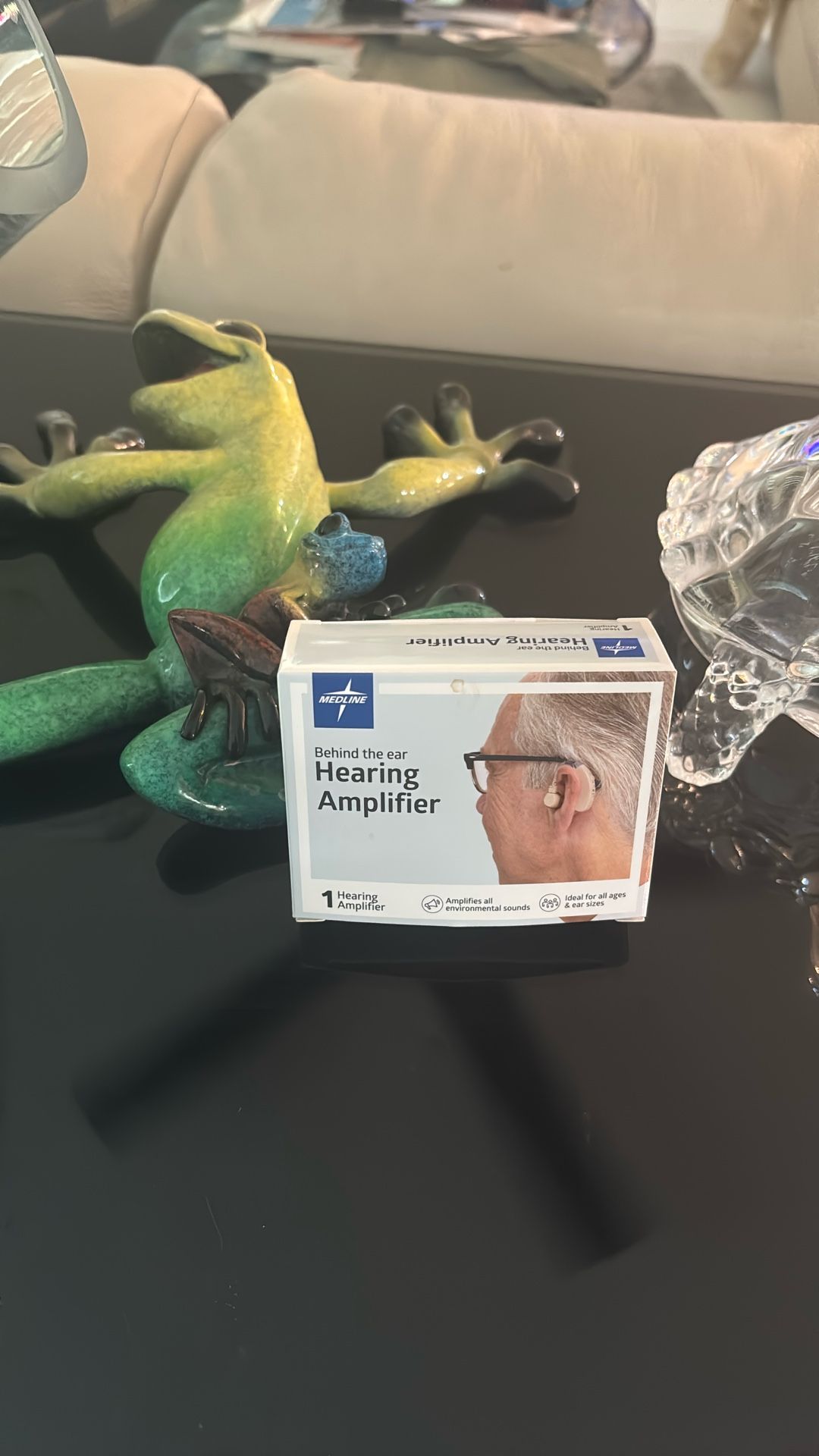 Hearing Amplifier