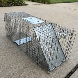 Animal Trap 